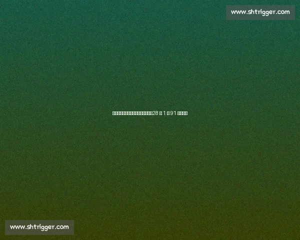 中超保级队天价年薪锁定欧冠神锋！28 岁 1 米 91 锋霸空降