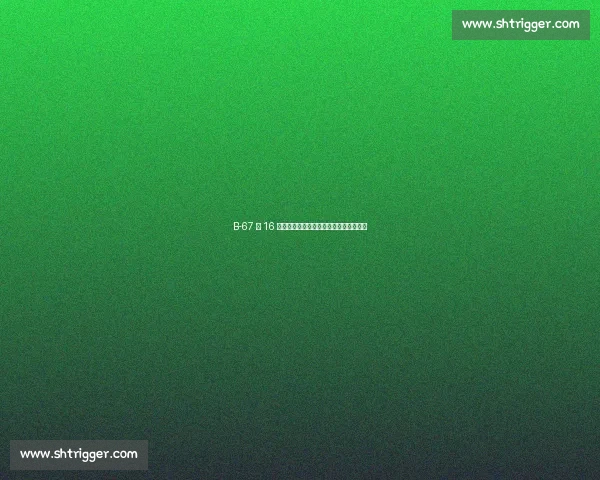 B-67 第 16 次登顶格陵兰联赛：北极圈内的绿茵传奇