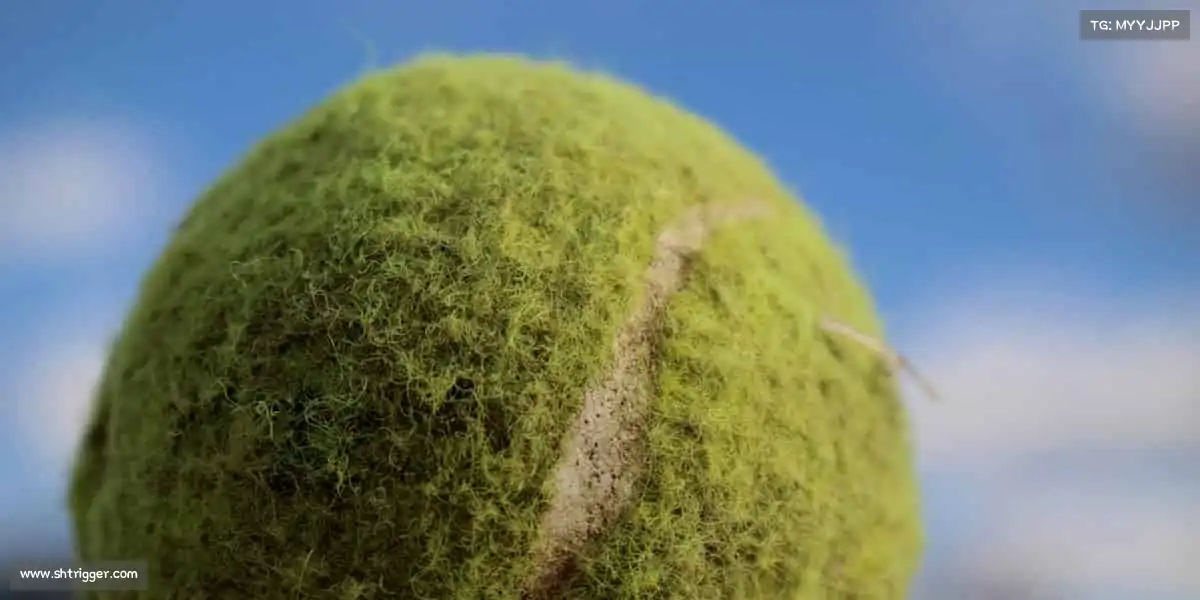 行业领先的理由